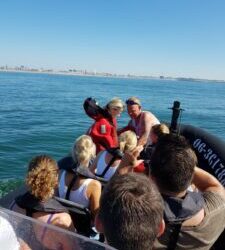 Rib varen actie